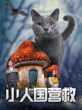 美国十次吧