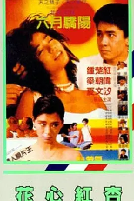 五月天婷婷免费视频