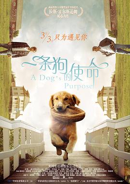 被美女扒开腿操的视频在线观看
