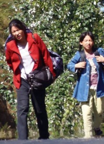 韩国纶理
