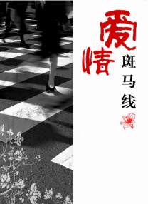 一区二区三区四区视频在线观看